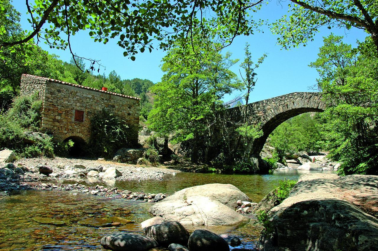 Castel De Vergio Albertacce Εξωτερικό φωτογραφία